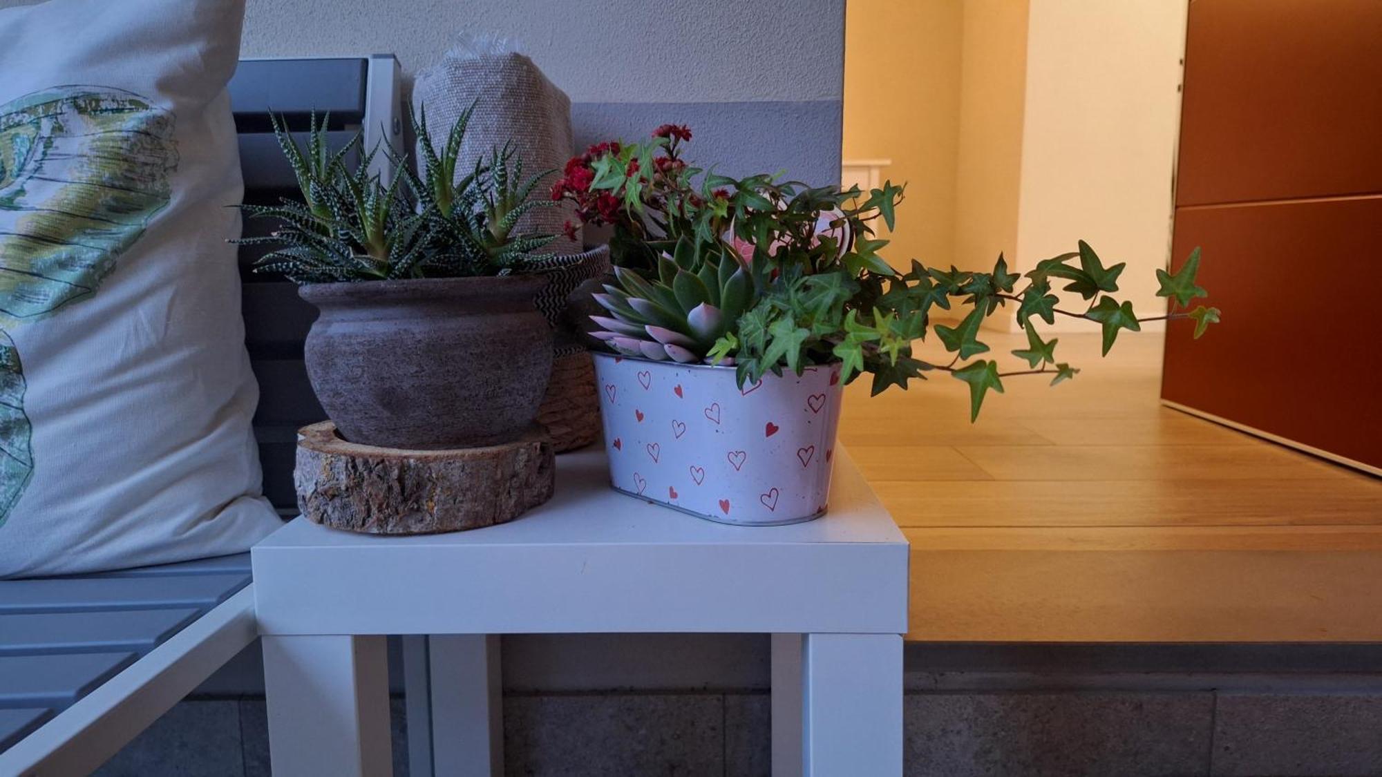 La Tana Del Geco Bed and Breakfast Iseo Buitenkant foto